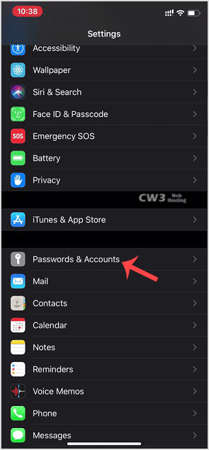 ios-apple-passwords-and-accounts.gif